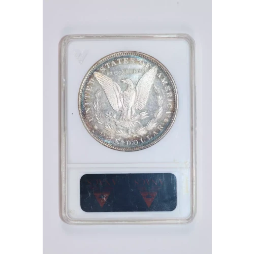 Morgan Silver Dollar (2)