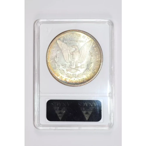 Morgan Silver Dollar (2)