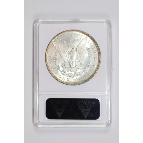 Morgan Silver Dollar (2)