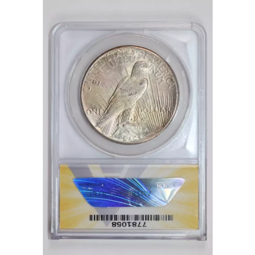 Morgan Silver Dollar (2)