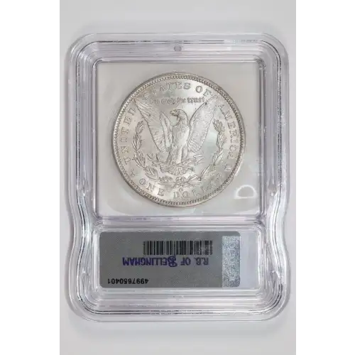 Morgan Silver Dollar (2)