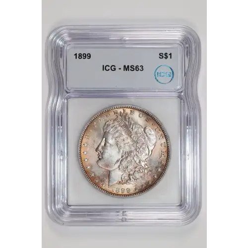 Morgan Silver Dollar