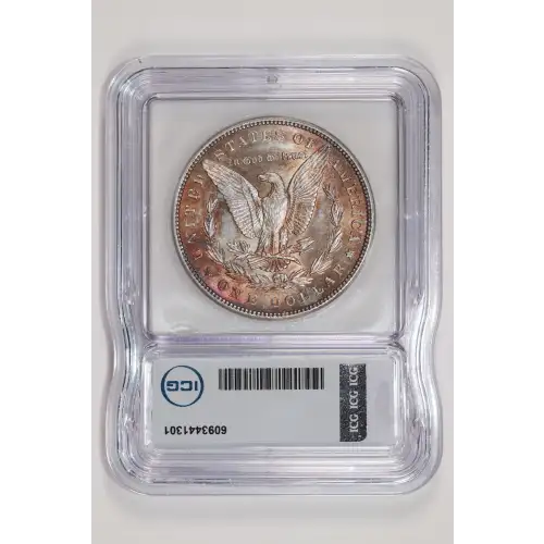 Morgan Silver Dollar (2)