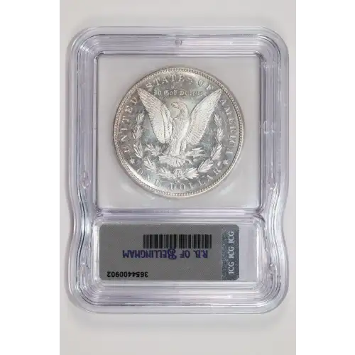 Morgan Silver Dollar (2)