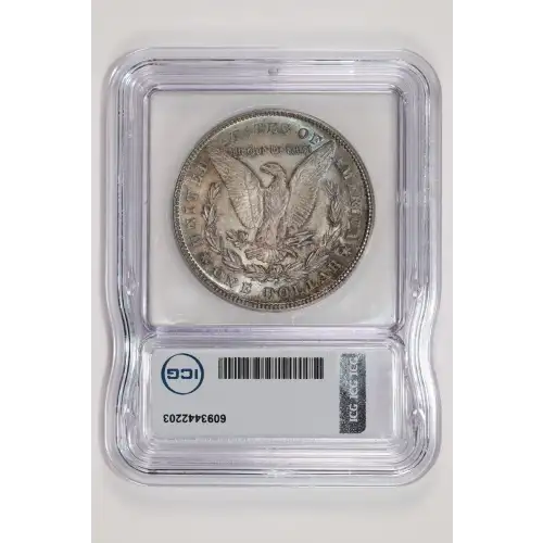 Morgan Silver Dollar (2)