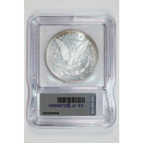 Morgan Silver Dollar (2)