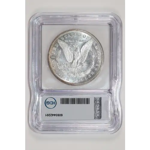 Morgan Silver Dollar (2)