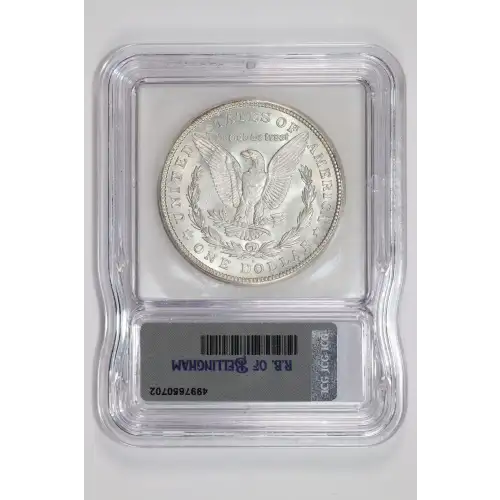 Morgan Silver Dollar (2)