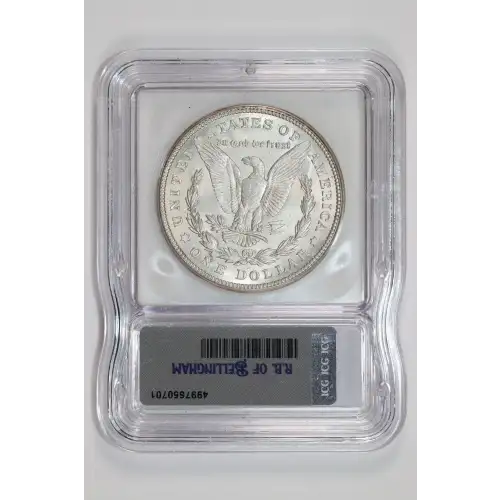 Morgan Silver Dollar (2)
