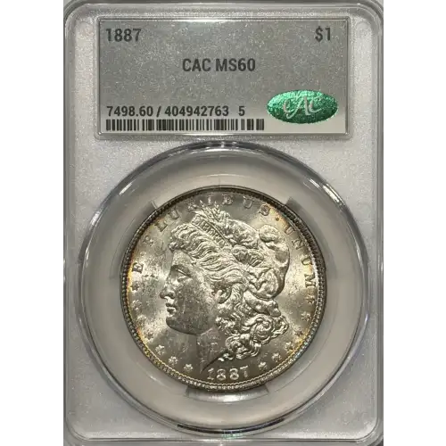 Morgan Silver Dollar