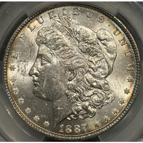Morgan Silver Dollar (2)