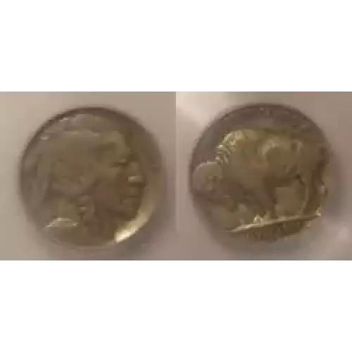 Nickel Five Cent Pieces-Indian Head or Buffalo (3)