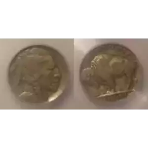 Nickel Five Cent Pieces-Indian Head or Buffalo (3)