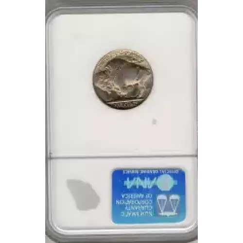 Nickel Five Cent Pieces-Indian Head or Buffalo (3)