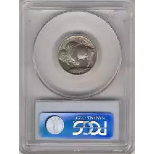 Nickel Five Cent Pieces-Indian Head or Buffalo (3)