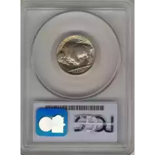 Nickel Five Cent Pieces-Indian Head or Buffalo (3)