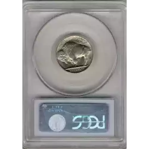 Nickel Five Cent Pieces-Indian Head or Buffalo (3)