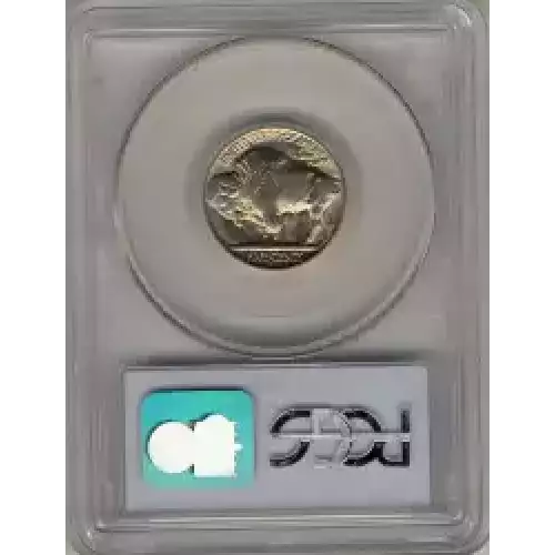 Nickel Five Cent Pieces-Indian Head or Buffalo (3)