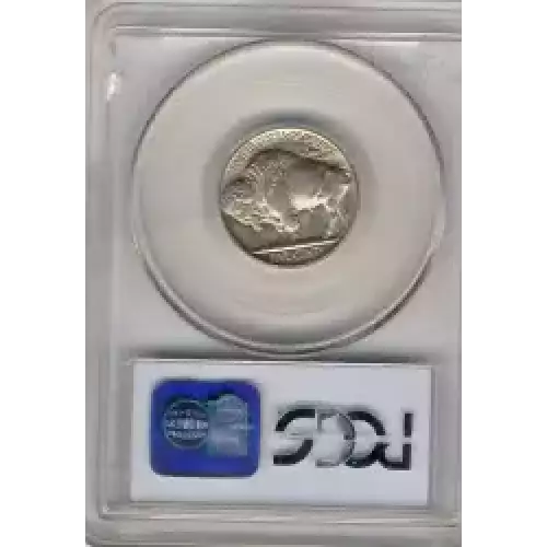 Nickel Five Cent Pieces-Indian Head or Buffalo (3)