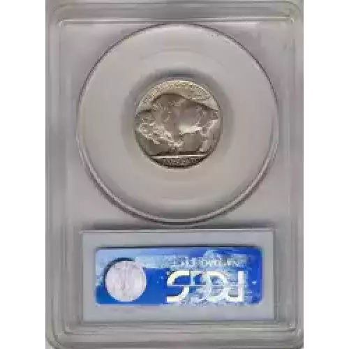 Nickel Five Cent Pieces-Indian Head or Buffalo (3)