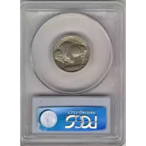 Nickel Five Cent Pieces-Indian Head or Buffalo (3)