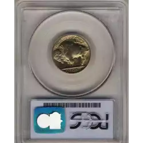 Nickel Five Cent Pieces-Indian Head or Buffalo (3)