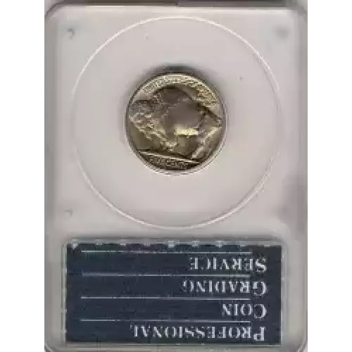 Nickel Five Cent Pieces-Indian Head or Buffalo (3)