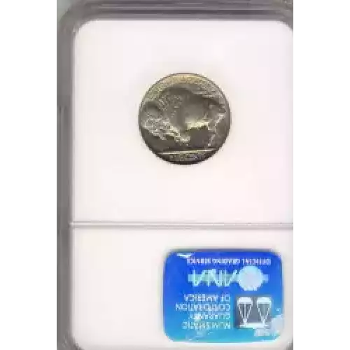 Nickel Five Cent Pieces-Indian Head or Buffalo (3)