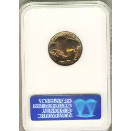 Nickel Five Cent Pieces-Indian Head or Buffalo (3)