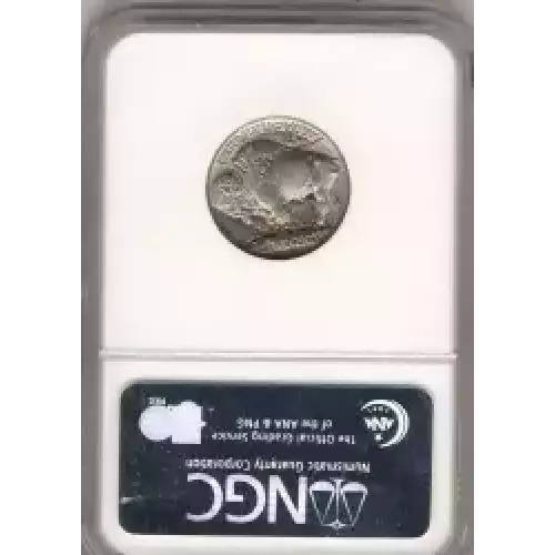 Nickel Five Cent Pieces-Indian Head or Buffalo (3)