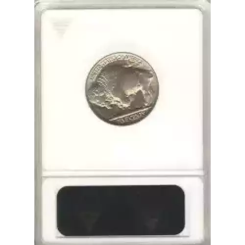 Nickel Five Cent Pieces-Indian Head or Buffalo (3)