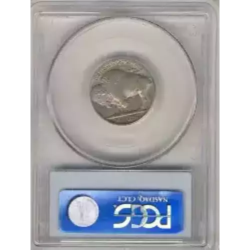 Nickel Five Cent Pieces-Indian Head or Buffalo (3)