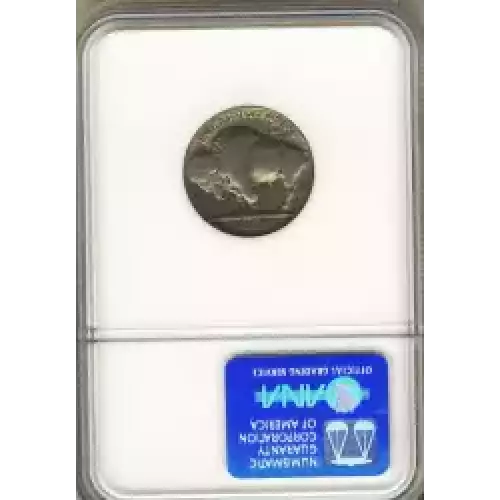 Nickel Five Cent Pieces-Indian Head or Buffalo (3)