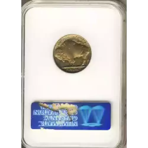 Nickel Five Cent Pieces-Indian Head or Buffalo (3)