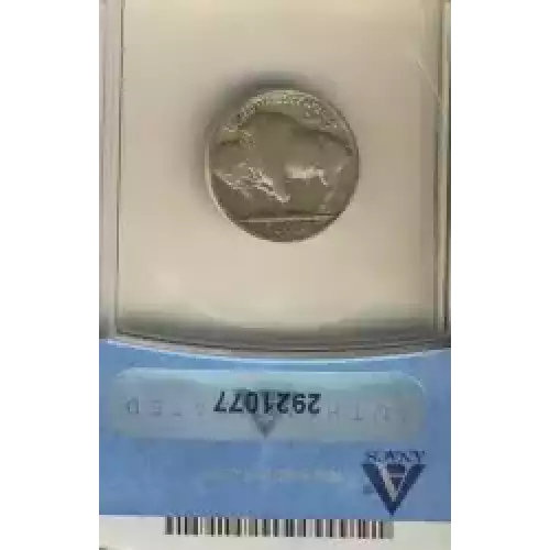 Nickel Five Cent Pieces-Indian Head or Buffalo (3)