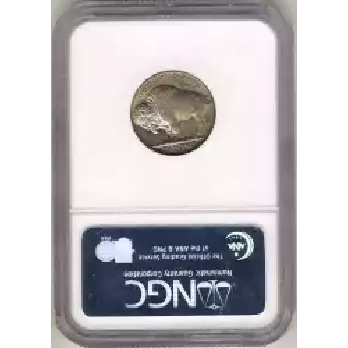 Nickel Five Cent Pieces-Indian Head or Buffalo (3)