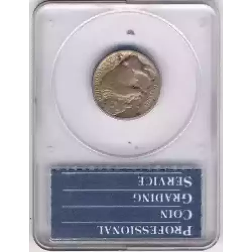 Nickel Five Cent Pieces-Indian Head or Buffalo (3)