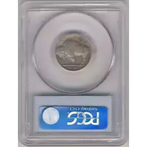 Nickel Five Cent Pieces-Indian Head or Buffalo (3)