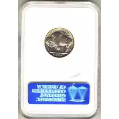 Nickel Five Cent Pieces-Indian Head or Buffalo (3)