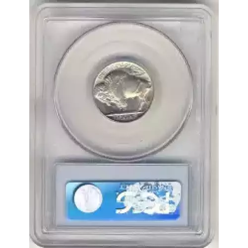 Nickel Five Cent Pieces-Indian Head or Buffalo (3)