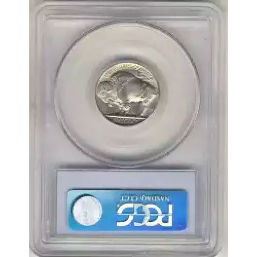 Nickel Five Cent Pieces-Indian Head or Buffalo (3)