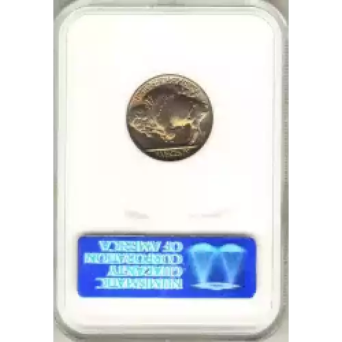 Nickel Five Cent Pieces-Indian Head or Buffalo (3)