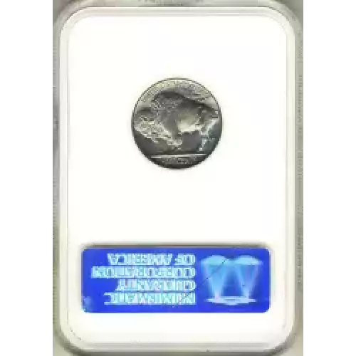 Nickel Five Cent Pieces-Indian Head or Buffalo (3)