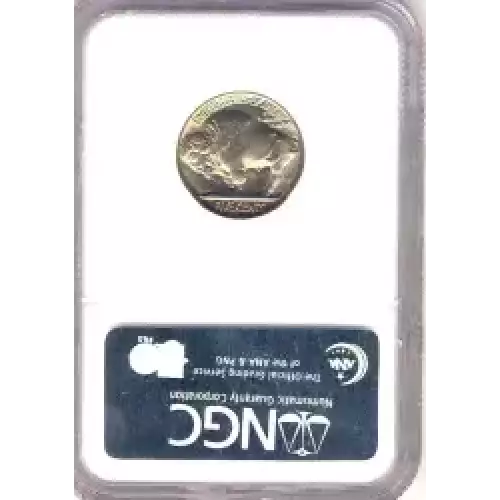 Nickel Five Cent Pieces-Indian Head or Buffalo (3)