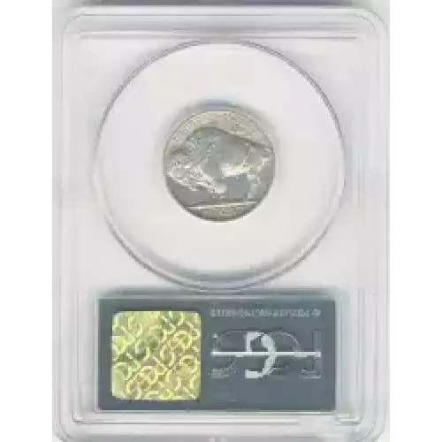 Nickel Five Cent Pieces-Indian Head or Buffalo (3)