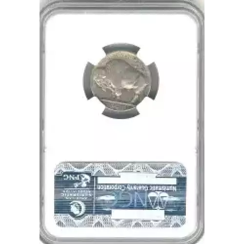 Nickel Five Cent Pieces-Indian Head or Buffalo (3)