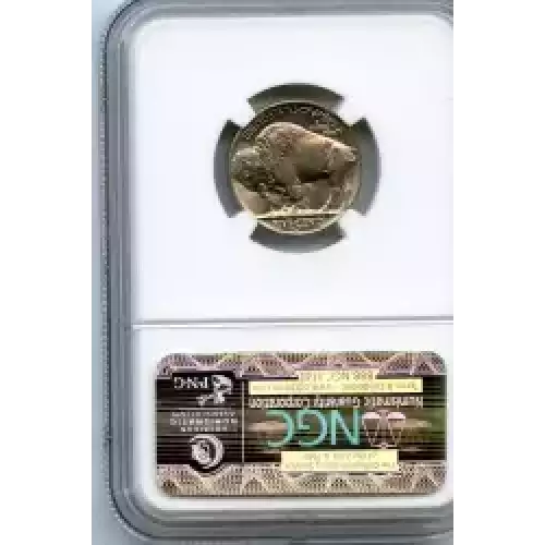 Nickel Five Cent Pieces-Indian Head or Buffalo (3)