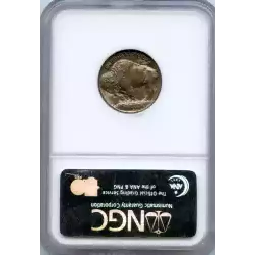 Nickel Five Cent Pieces-Indian Head or Buffalo (3)