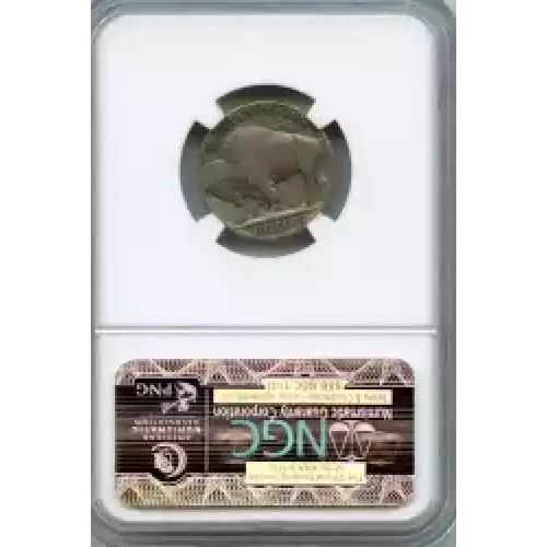 Nickel Five Cent Pieces-Indian Head or Buffalo (3)