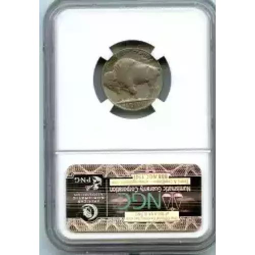 Nickel Five Cent Pieces-Indian Head or Buffalo (3)